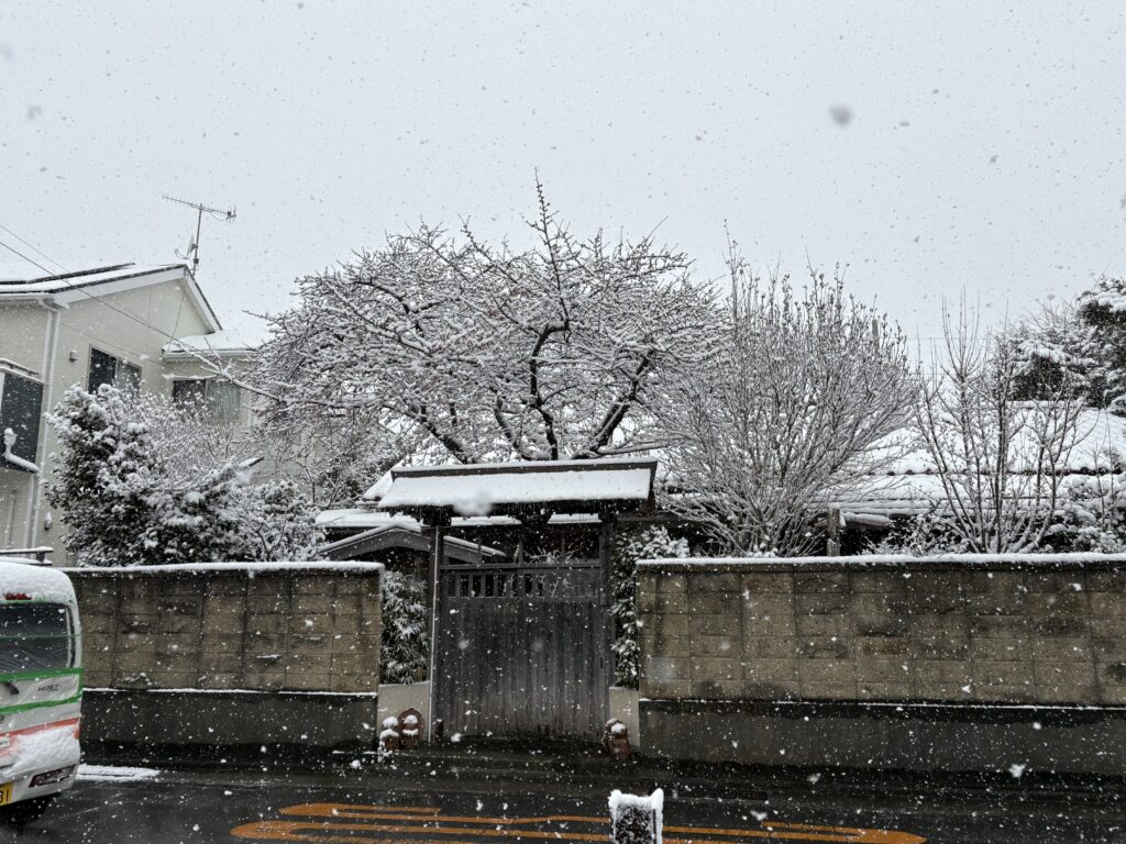 雪が降りつちぼとけ様も真っ白に