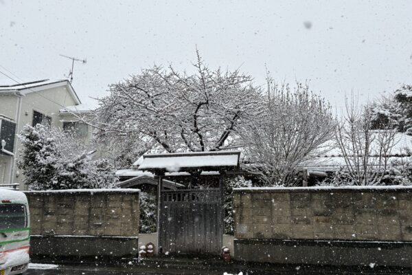 雪が降りつちぼとけ様も真っ白に